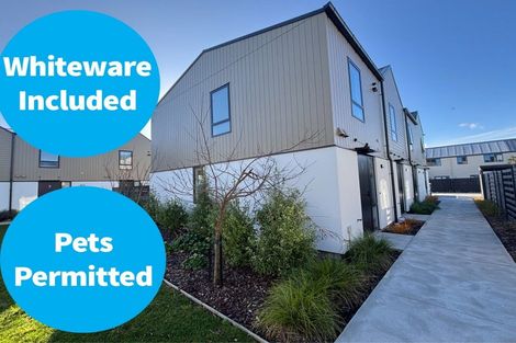 Photo of property in 1/102 Ruskin Street, Addington, Christchurch, 8024