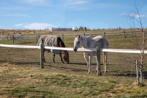 Photo of property in 239 Nelsen Ridge Road, Waikerikeri, Alexandra, 9393