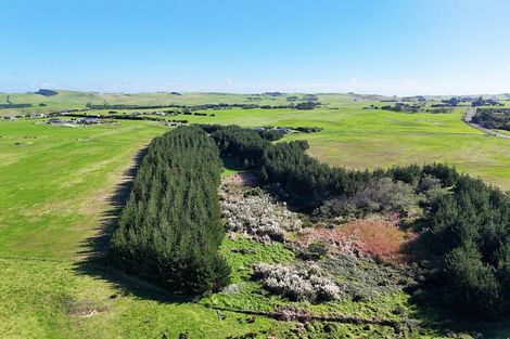 Photo of property in 413a Baylys Coast Road, Dargaville, 0377