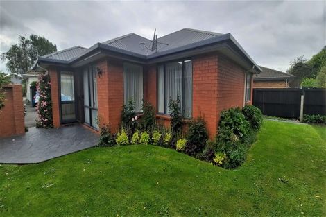Photo of property in 137 Harewood Road, Papanui, Christchurch, 8053