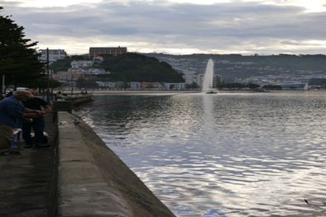 Photo of property in The Capital, 26/370 Oriental Parade, Oriental Bay, Wellington, 6011