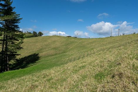 Photo of property in 42 Tirohanga Road, Kawakawa, 0282
