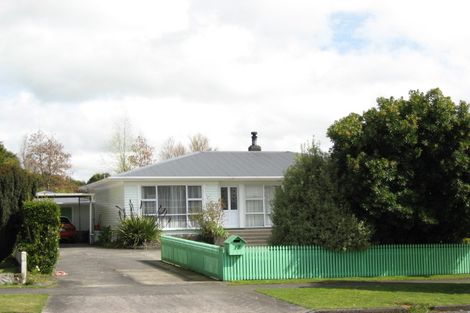 Photo of property in 17 Brecon Road, Stratford, 4332