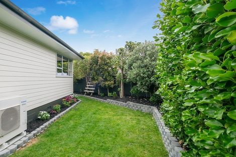 Photo of property in 19 Roick Parade, Glen Eden, Auckland, 0602