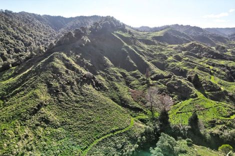 Photo of property in 918 Makakaho Road, Ngamatapouri, 4588