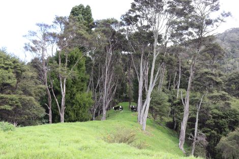 Photo of property in 51a Waingaro Road, Ngaruawahia, 3720