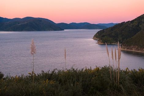 Photo of property in 318 Port Underwood Road, Whatamango Bay, Picton, 7281