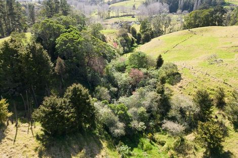 Photo of property in 42 Tirohanga Road, Kawakawa, 0282