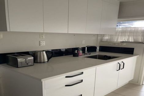 Photo of property in 51 Mountbatten Avenue, Hillcrest, Auckland, 0627