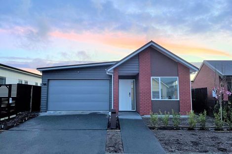 Photo of property in 19 Gosset Avenue, Chartwell, Hamilton, 3210