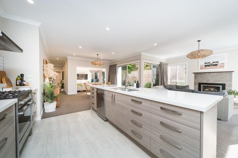 Photo of property in 5 Heritage Place, Terrace End, Palmerston North, 4410