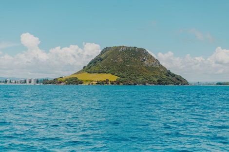 Photo of property in 6 Adams Avenue, Mount Maunganui, 3116