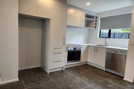 Photo of property in 62c Cleveland Street, Edgeware, Christchurch, 8013