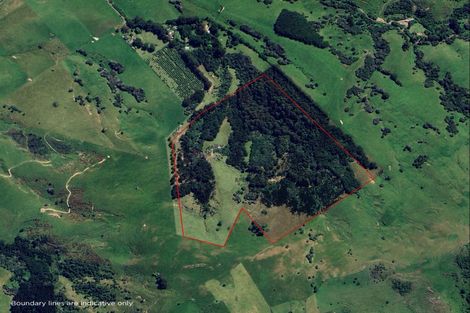 Photo of property in 88 Sawmill Road, Robinsons Bay, Akaroa, 7581