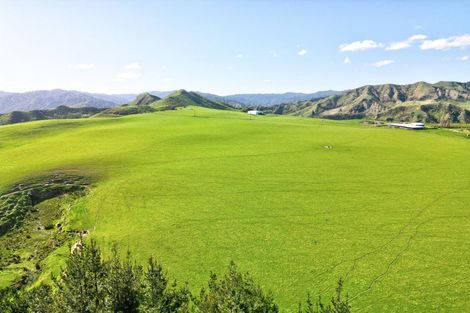 Photo of property in 918 Makakaho Road, Ngamatapouri, 4588