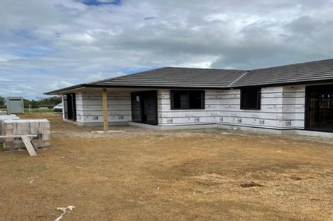 Photo of property in 6 Bianca Crescent, Stratford, 4332