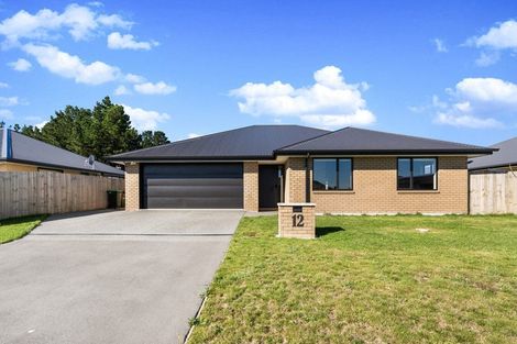 Photo of property in 12 Rufus Street, Rolleston, 7614