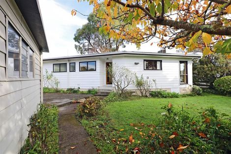 Photo of property in 3 Breadalbane Road, Havelock North, 4130