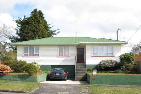 Photo of property in 21 Brecon Road, Stratford, 4332