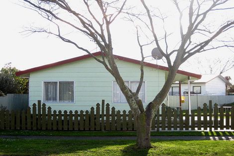 Photo of property in 403a Hemi Street, Raureka, Hastings, 4120