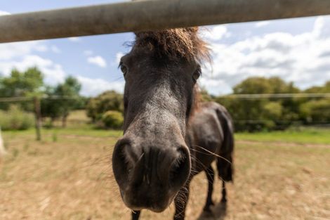 Photo of property in 36 Frankton Road, Waihi, 3682
