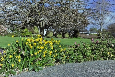 Photo of property in 1b Mary Street, Masterton, 5810