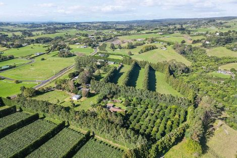 Photo of property in 486 Esdaile Road, Whakamarama, Tauranga, 3180