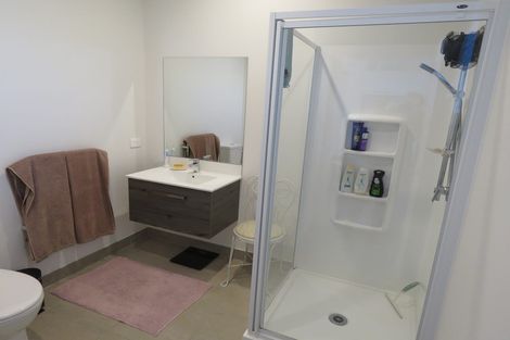 Photo of property in 34 Onekiritea Road, Hobsonville, Auckland, 0616