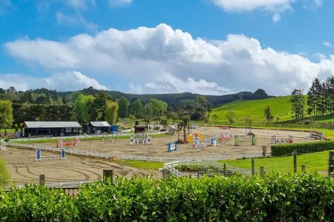 Photo of property in 1777 State Highway 16, Helensville, 0875