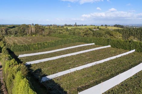 Photo of property in 416 State Highway 2, Tahawai, Katikati, 3170
