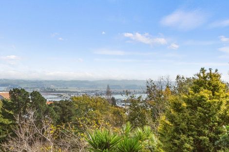 Photo of property in 2 Coleman Terrace, Hospital Hill, Napier, 4110