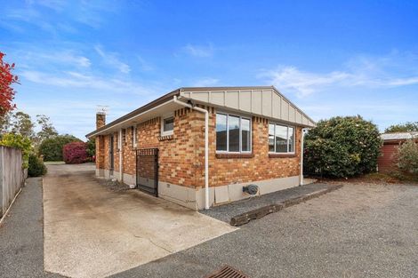 Photo of property in 196r Moffat Road, Bethlehem, Tauranga, 3110