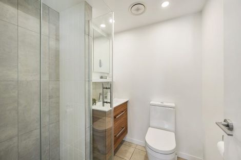 Photo of property in Vsp South, 301/168u Victoria Street, Te Aro, Wellington, 6011