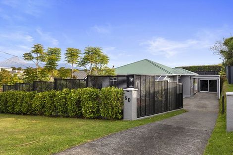 Photo of property in 60 Ballance Street, Lower Vogeltown, New Plymouth, 4310