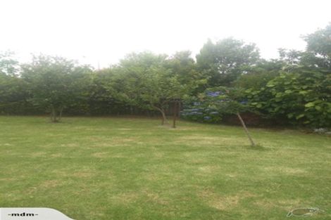 Photo of property in 77 Riverside Drive, Waiuku, 2123