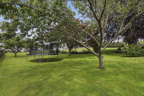 Photo of property in 3 Fitzherbert Street, Putaruru, 3411