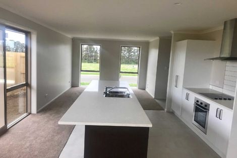 Photo of property in 4 Taepu Road, Pukekohe, 2120