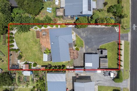 Photo of property in 43 Bradford Street, Waihi, 3610