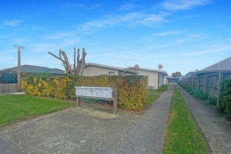 Photo of property in Kings Autos (ex Morgans Factory), 3/206 Hastings Street South, Hastings, 4122