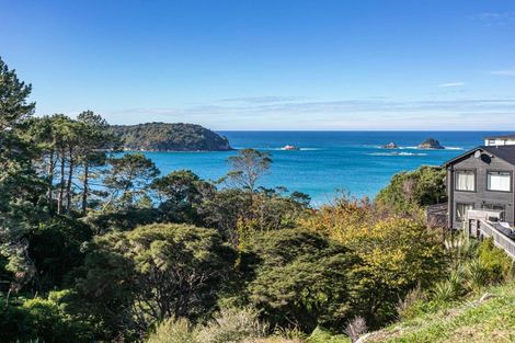 Photo of property in 96 Grange Road, Hahei, Whitianga, 3591