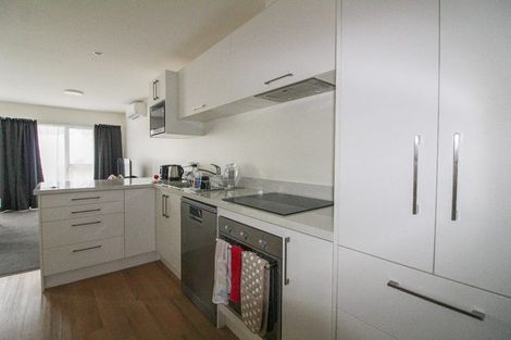 Photo of property in 377 Leith Street, North Dunedin, Dunedin, 9016