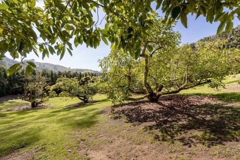 Photo of property in 286a Woodland Road, Tahawai, Katikati, 3170