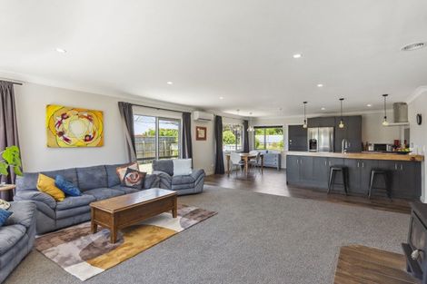 Photo of property in 201a Tiro Tiro Road, Levin, 5510