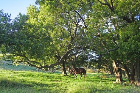 Photo of property in 1470 Oneriri Road, Kaiwaka, 0573