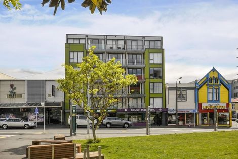 Photo of property in Dual Apartments, 106/142u Vivian Street, Te Aro, Wellington, 6011