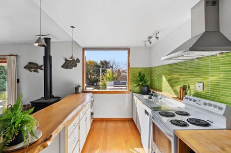 Photo of property in 113 Hopkins Street, Luggate, Wanaka, 9383