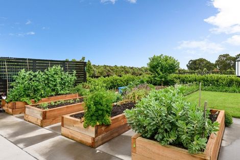 Photo of property in 33 Mike Smith Drive, Cambridge, 3434