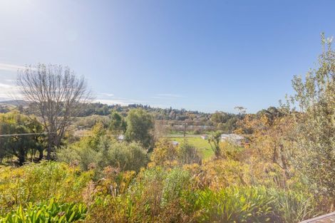 Photo of property in 87b Ongaonga Road, Waipawa, 4272