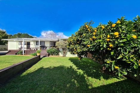 Photo of property in 115 Lillis Lane, Coromandel, 3506