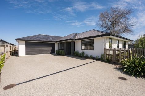 Photo of property in 11 Carmine Crescent, Appleby, Richmond, 7020
